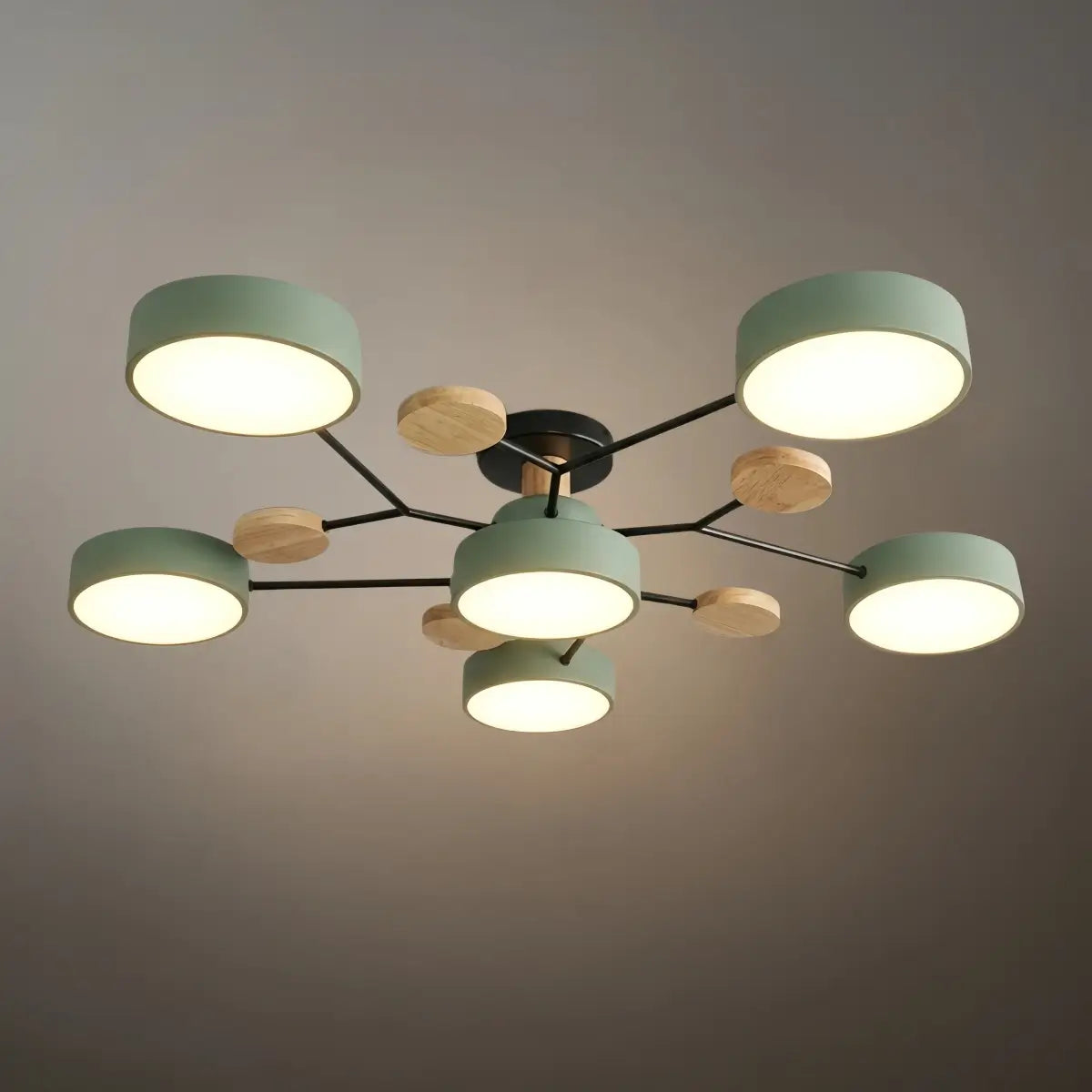 Modern_Round_Ceiling_Light